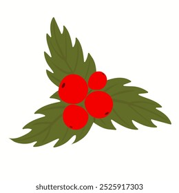 Holly berry icon, mistletoe leaves and berries, Christmas symbol on white background. Bright fruits on green leaves. Print for postcards, presentations. Vector illustration, hand drawn