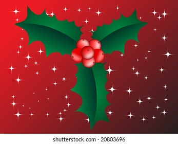 holly berry or ilex