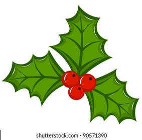 Holly berry illustration