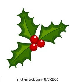 Holly berry illustration. Symbol of Christmas