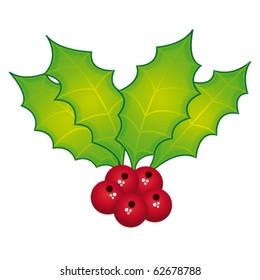Holly berry isolated on white background. Vector illustration.