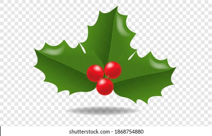 Holly Berry Isolated Transparent Background With Gradient Mesh, Vector Illustration