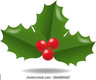 Holly Berry Isolated White Background With Gradient Mesh, Vector Illustration
