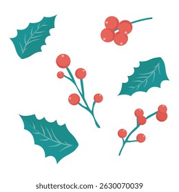 Holly berry and leaf. Vector icon holiday plants isolated on white background. 