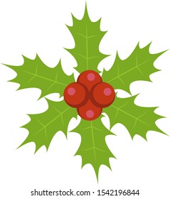 Holly berry leafs vector illustration