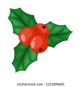 Holly berry leaves Christmas decoration holiday green leaf traditional winter branch isolated on white background vector illustration. Festive gift seasonal merry xmas card twig.