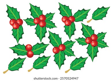 Holly berry leaves Christmas decoration isolated on white background