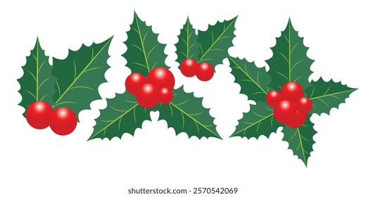 Holly berry leaves Christmas decoration isolated on white background