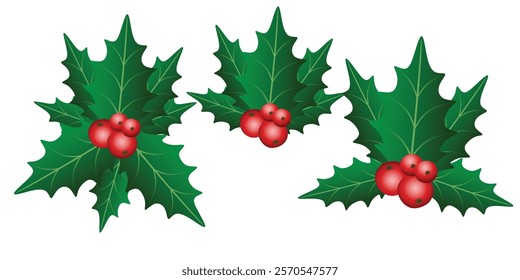 Holly berry leaves Christmas decoration isolated on white background