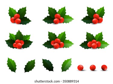 Holly berry leaves Christmas symbol set . Vector design
