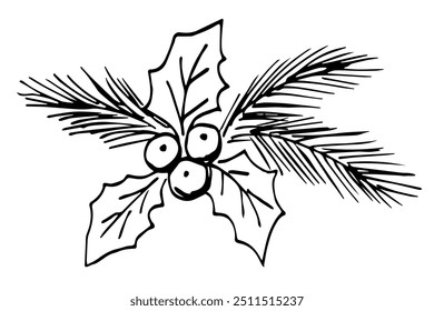 Holly berry, leaves, coniferous branches, pine. Christmas New Year decor, plants. Simple hand drawn vector ink sketch.