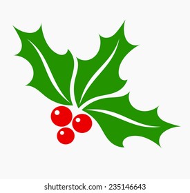 Holly berry leaves and fruits, Christmas symbol