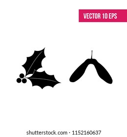 Holly berry leaves vector. maple seed isolated.  Christmas icon