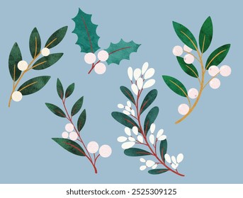 holly berry mistletoe botanical for christmas