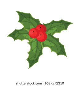 Holly Berry Mistletoe Plant, Christmas and New Year Symbol, Traditional Holiday Decoration Vector Illustration