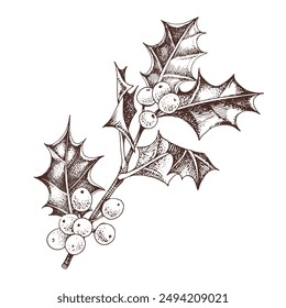 Holly berry monochrome vector branch