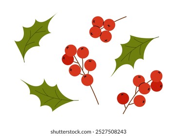 Holly berry and red rowan berry branch. Red ilex branch. Vector icon holiday plants isolated on white background. 