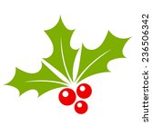 Holly berry vector