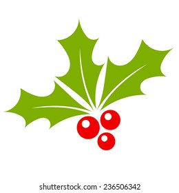 Holly berry vector