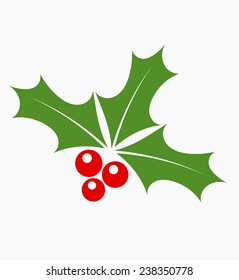 Holly berry vector 