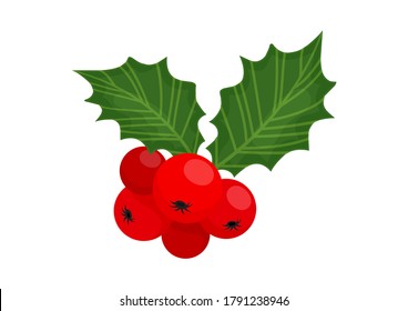 Holly berry vector icon Christmas symbol, holiday plant isolated on white background, winter illustration