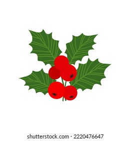 Holly berry vector icon, Christmas mistletoe and leaf, red ilex branch, cartoon xmas plant isolated on white background. Holiday nature illustration