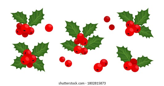 Iconos de berry, símbolo de Navidad, ilustración vectorial de invierno