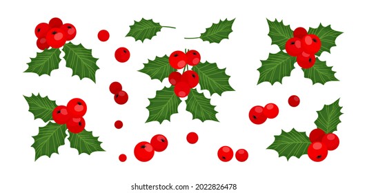 Holly berry Сhristmas vector icons, season decoration, winter plant fruits. Holiday illustration