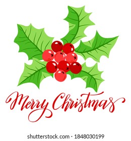 Holly Berry, vector illustration on white background, Merry Christmas lettering, holiday greeting card.