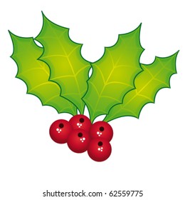 Holly berry vector and isolated. Christmas decoration.