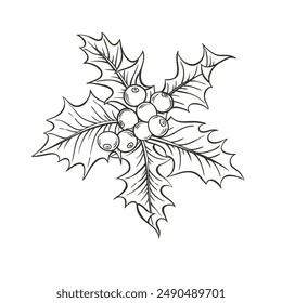 Holly berry vector sketch hand drawn linen illustration on white background.