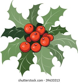 Holly branch