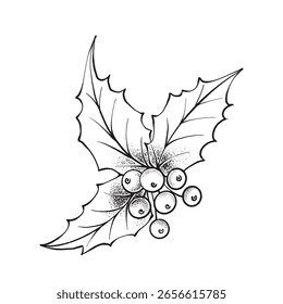 Holly branch with berries, drawing in vector graphic style. Great for Christmas decorations, winter cards, festive design elements, and seasonal illustrations.