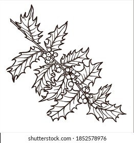 Holly branch with berries hand drawn outlines. Winter holiday symbol. Festive decorative attribute of Christmas. Black vector illustration isolated on white background.