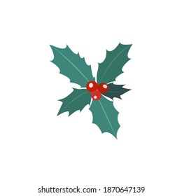 Holly branch with berries isolated object on white background. Vector illustration for festive design.