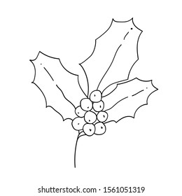 Holly branch with berries and leaves. Hand drawn vector illustration. 