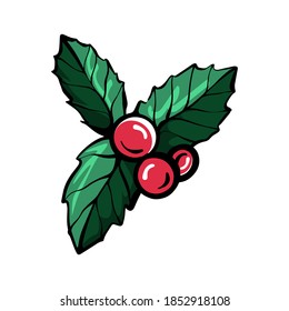Holly branch hand-drawn linear vector illustration. Christmas Holly berries, a symbol of Christmas