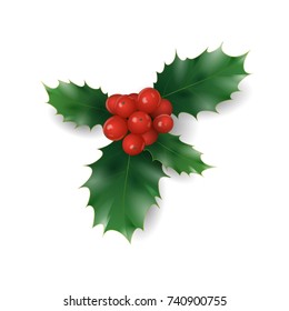 Holly branch with red berries Christmas symbol. Holiday traditional decoration New Year wreath part green leaves. Isolated on white realistic 3d vector illustration