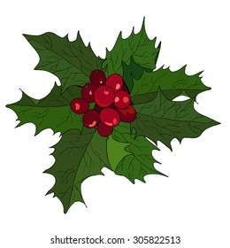 Holly. Christmas Holly Berry. Vector EPS 10