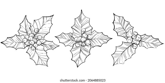 Holly christmas set, hand drawn monochrome vector illustration