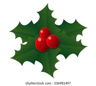 holly christmas,white background, christmas.