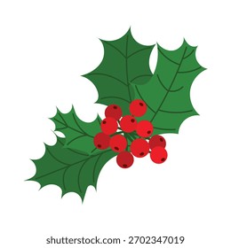Holly composition with many red berries. Christmas greenery with sharp textured leaves. Flat vector illustration isolated on white background.