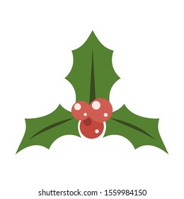 holly foliage flat vector icon 
