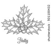 Holly or Ilex aquifolium or Christmas holly, retro vintage engraving hand drawn illustration plant with berryes. Leaves and fruit isolated on a white background. New year decoration