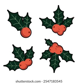 Holly, ilex branch with berry and leaves. Set of mistletoe. Christmas decorations. Isolated illustration on a white background. Vector graphics.