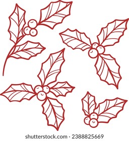 Holly ilex line art vector illustration, mistletoe winter holiday decoration design set