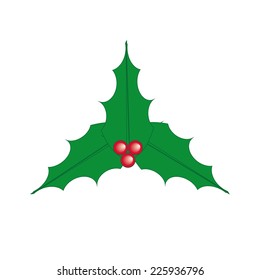 Holly isolated vector