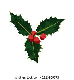 holly leaf and berry vector design