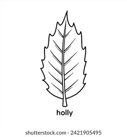 Holly Leaf - Black Outline Vector Design Illustration 