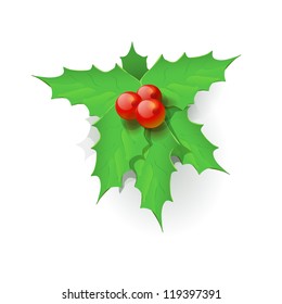 Holly leafs isolated.
